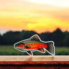 Brook Trout fishing sticker