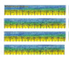 Mahi-Mahi Fishing Ruler