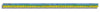 Mahi Fish Ruler Sticker