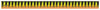 Peacock Bass scale Fish Ruler 40 inch Sticker