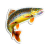 Brown Trout Sticker