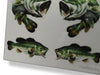 Bass Fish Scale Sheet