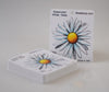 Watercolor White Daisy 4" Flower