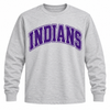 East Coweta Indians Varsity Purple/Purple Spirit Wear