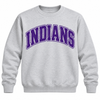 East Coweta Indians Varsity Purple/Purple Spirit Wear