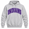 East Coweta Indians Varsity Purple/Purple Spirit Wear