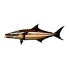 5" Cobia Fish Sticker