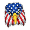 USA Eagle Sticker