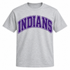 East Coweta Indians Varsity Purple/Purple Spirit Wear