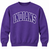 East Coweta Indians Varsity purple/white Spirit Wear