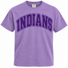 East Coweta Indians Varsity Purple/Purple Spirit Wear