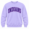 East Coweta Indians Varsity Purple/Light Purple Spirit Wear