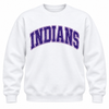 East Coweta Indians Varsity Purple/Light Purple Spirit Wear