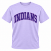 East Coweta Indians Varsity Purple/Light Purple Spirit Wear
