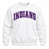 East Coweta Indians Varsity Purple/Purple Spirit Wear