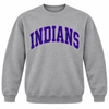 East Coweta Indians Varsity Purple/Light Purple Spirit Wear