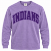East Coweta Indians Varsity Purple/Purple Spirit Wear