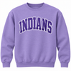 East Coweta Indians Varsity purple/white Spirit Wear