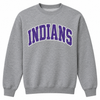 East Coweta Indians Varsity purple/white Spirit Wear