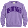 East Coweta Indians Varsity Purple/Purple Spirit Wear