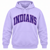 East Coweta Indians Varsity Purple/Light Purple Spirit Wear