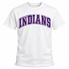 East Coweta Indians Varsity Purple/Purple Spirit Wear