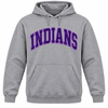 East Coweta Indians Varsity Purple/Light Purple Spirit Wear