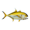 Crevalle Jack Fish Sticker