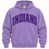 East Coweta Indians Varsity Purple/Purple Spirit Wear