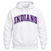 East Coweta Indians Varsity Purple/Purple Spirit Wear