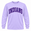 East Coweta Indians Varsity Purple/Light Purple Spirit Wear
