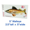 5" Walleye Fish Sticker