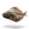 Flounder Sticker - 4 inch fish
