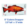 5” Cubera Snapper Sticker