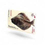 Flounder Fish Sticker