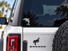 Colorful Dolphin Sticker