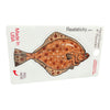 Flounder Sticker - Hand Drawn fish