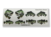 Bass Fish Scale Sheet