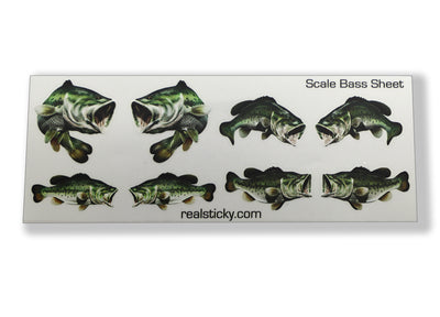Bass Fish Scale Sheet