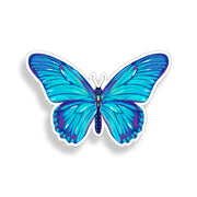 Blue Butterfly Sticker