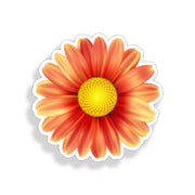 Orange Daisy Sticker