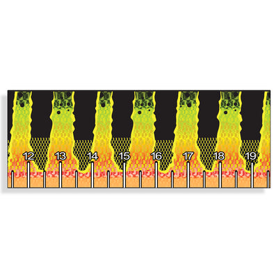 Peacock Bass scale Fish Ruler 40 inch Sticker
