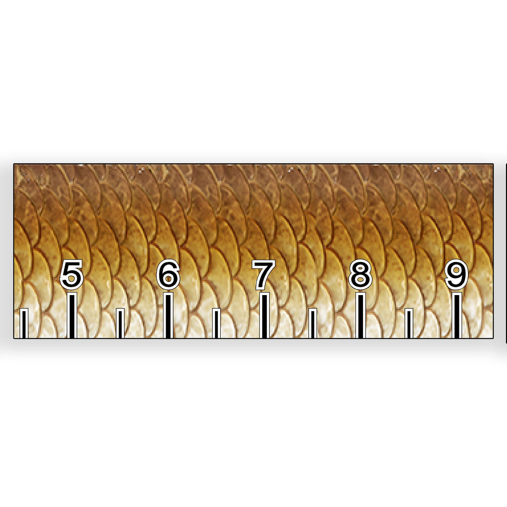 Redfish Scale Fish Ruler 40 inch Sticker | Real Sticky