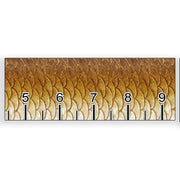 Redfish Scale Fish Ruler 40 inch Sticker