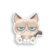 angry cat sticker