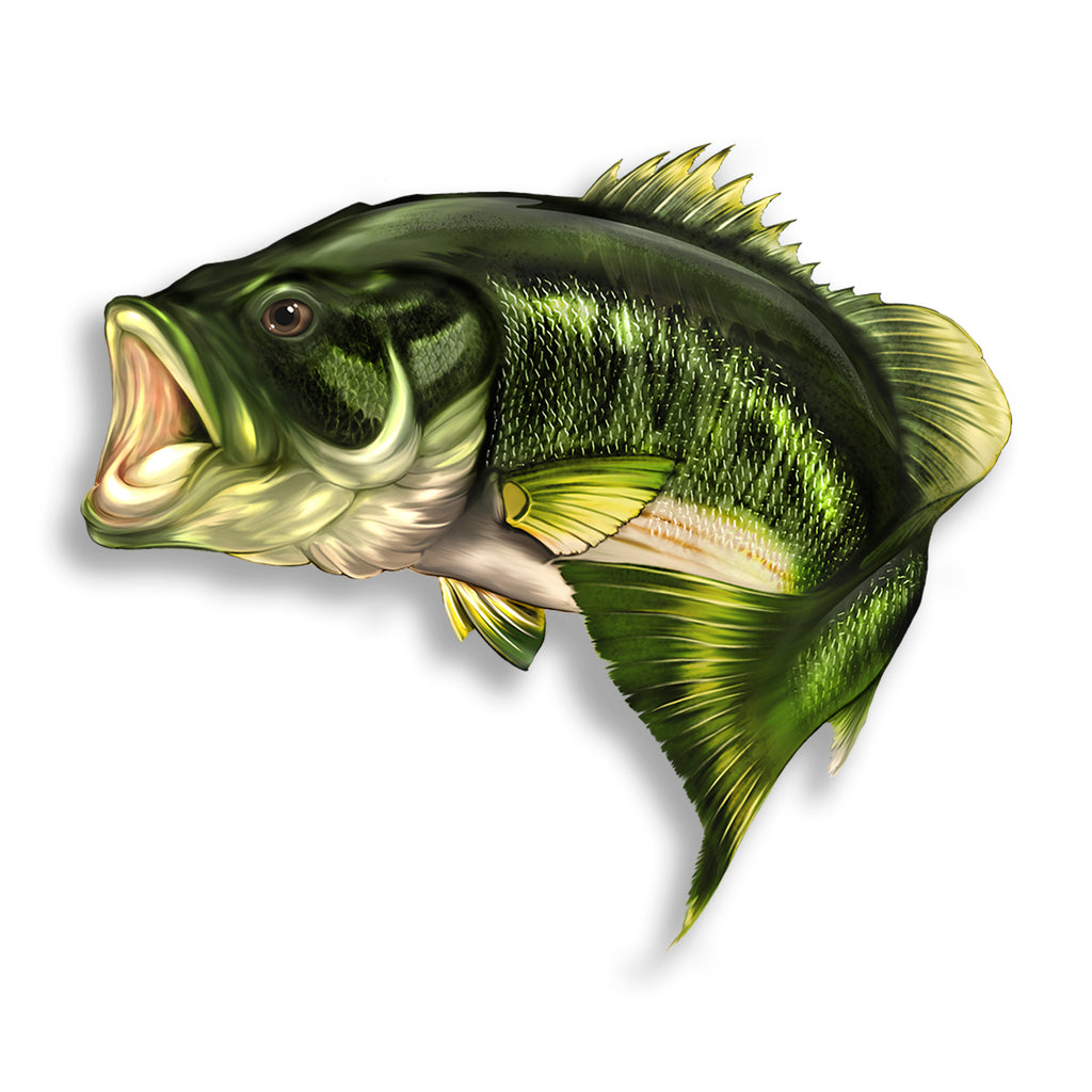 Bass Sticker 6 inch fish | Real Sticky