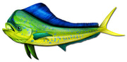 Mahi Mahi Sticker Decal Fish Fishing Ocean Salt Yeti Life