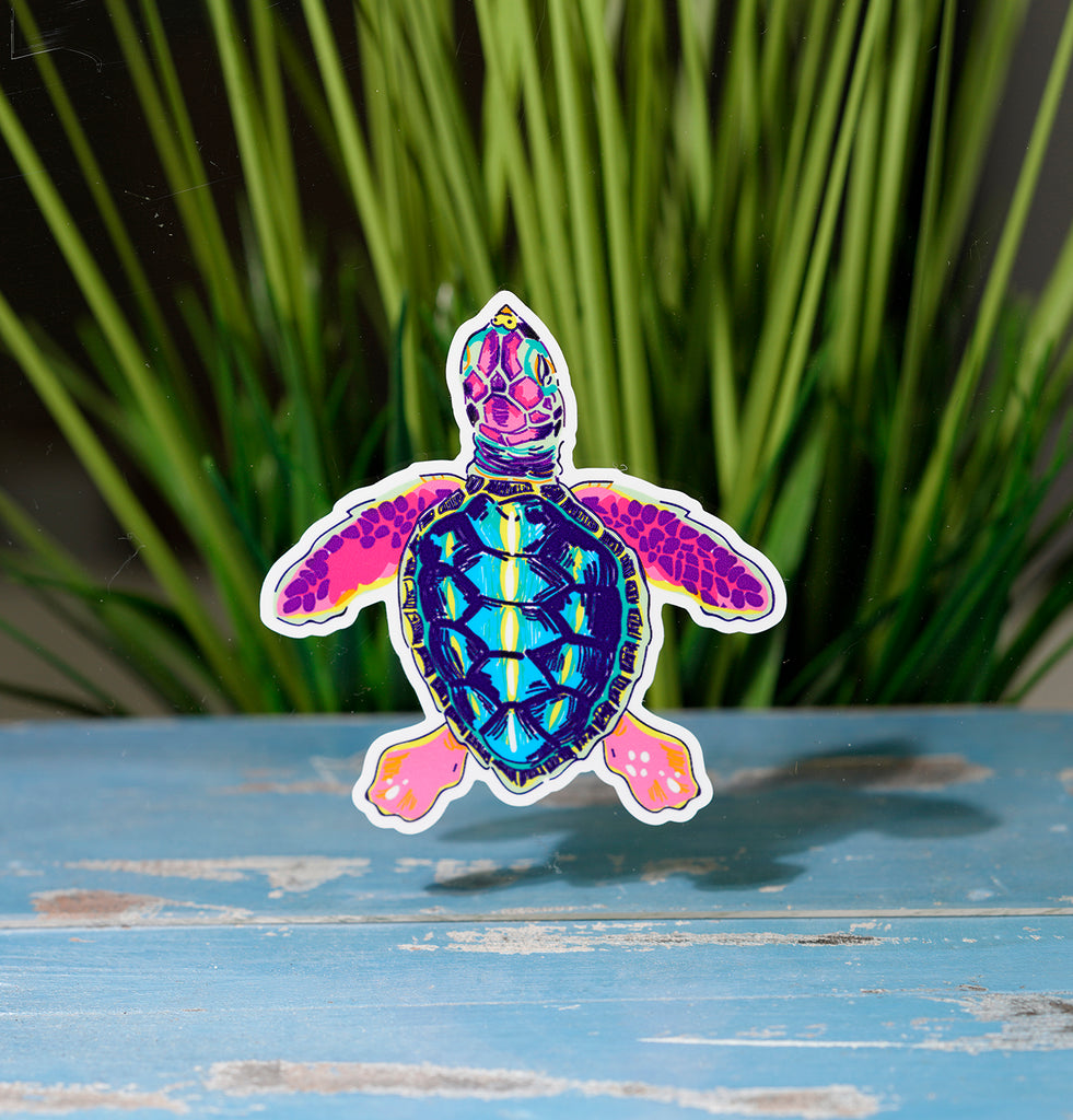 Sticky Turtle Summertime Turtle | Real Sticky