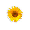 Sunflower - Yellow 4 inch